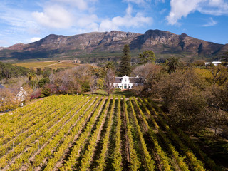 Fototapeta premium Aerial of a wine farm in Cape Town, South Africa