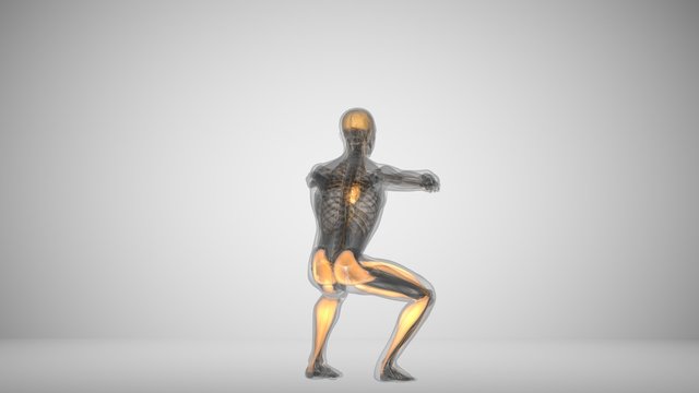 3d illustration of a man doing squats with backlighting muscles