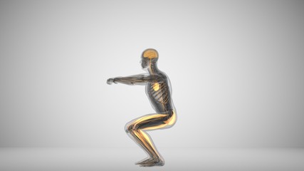 3d illustration of a man doing squats with backlighting muscles