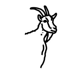 Goat on a white background. Linear silhouette. Vector illustration.