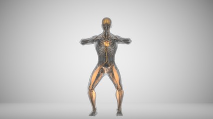 3d illustration of a man doing squats with backlighting muscles