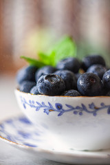 Blueberries, juicy wild berries in drops of water. Healthy food or nutrition.