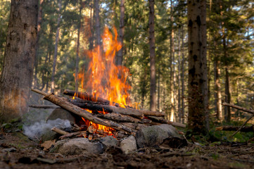 Bonfire in the autumn forest in the evening