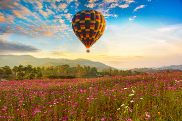 Beautiful landscape hot air balloons flying over garden cosmos flowers