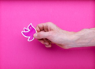 Symbole paix colombe rose protéger par main hommes enfant sur arrière-plan rose, aimer, concept, pacifique