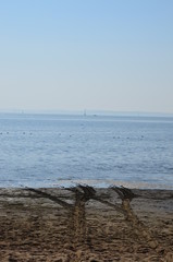 bord de plage (Bassin d'Arcachon)	