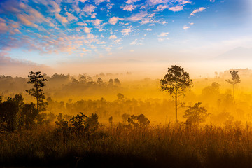 Thung Salaeng Luang is grassland savannah in Thailand. Misty morning sunrise at Thung Salaeng Luang National Park, Phetchabon, Thailand. Beautiful landscape of foggy sunrise in grassland savannah