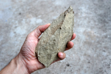 A sedimentary shale rock in the hand.