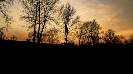 Fototapeta premium Sunset silhouettes of trees and people at shores of Jarun lake in Zagreb during beautiful, golden sunset, just days before lock down because of corona virus.