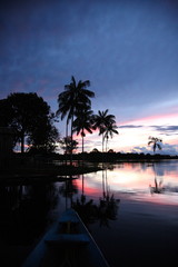 Fototapeta na wymiar Landscape of Amazon jungle river with sailing boat and coconut palm tree during sunset in Brazil