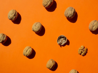 walnuts pattern in hard light on bright orange background, horizontal