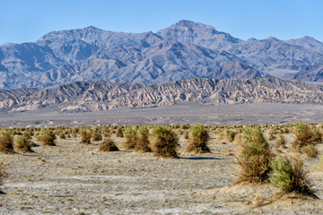 Death Valley