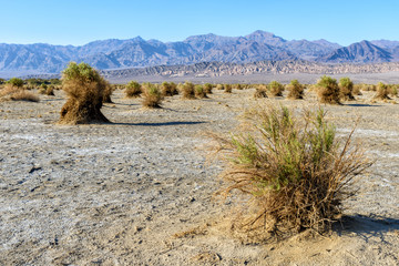 Death Valley