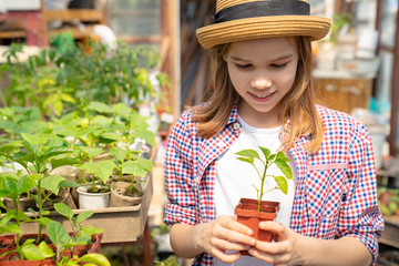 Adorable teen girl kid in hat with seedlings