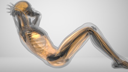 3d illustration exercise on the press with muscle lighting. abs exercise