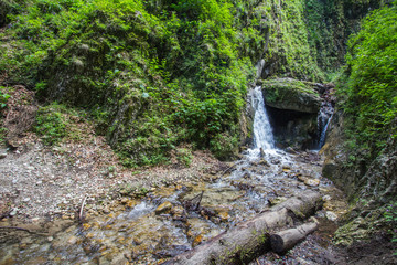 small waterfall in the forest