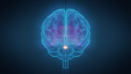 3d illustration human brain with convolutions and a radiance of light