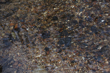 beautiful texture of a stream, a small river, colored wet stones shine through a layer of water, the concept of spring wildlife