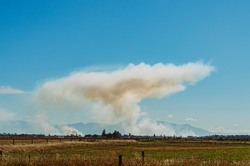 Waldbrand in Landschaft Rauch Qualm Wolke