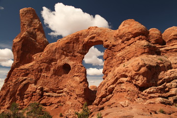 Turret Arch viewed from The Windows Trail in Arches National Park, Utah © Nikki