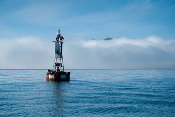 Seals on a red lighthouse in the middle of the sea with background of mountains and clouds