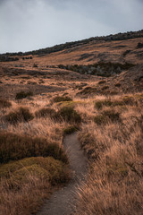 trail landscape with mountains and blue sky