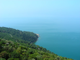 Fototapeta na wymiar nature landscape. The edge of the green island goes to sea
