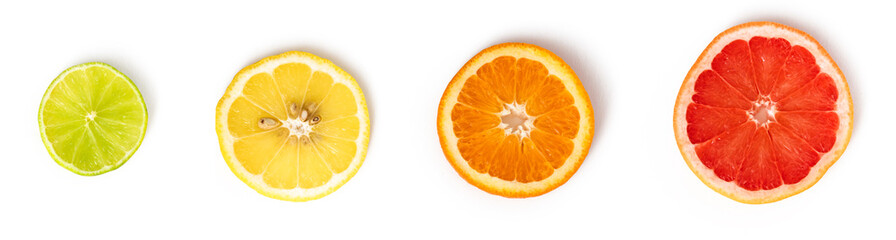 Citrus fruit slices (lime, lemon, orange and grapefruit) isolated on white background