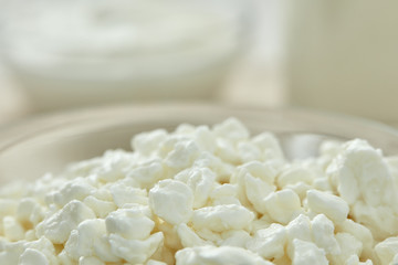 Glass bowl with fresh village cottage cheese.  Close- up. Healthy food.  Dairy product.