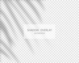 Shadow overlay effect. Natural shadows isolated on transparent background. Vector illustration. 