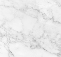 Marble granite white background wall surface black pattern graphic abstract light elegant gray for do floor ceramic counter texture stone slab smooth tile silver natural for interior decoration.