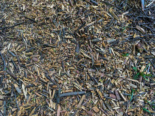 Sawdust in the forest. Abstract Background
