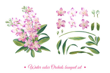 Water color pink orchids flower blossom with green leaf bouquet in botanical style in isolated arrangement set on white background illustration vector. Suitable for wedding design elements.