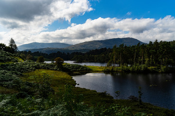 Tarn Hows in the Lake district on a sunny summers day