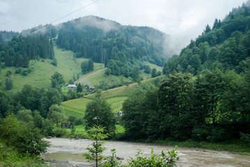 View of the valley in the Carpathians in summer
