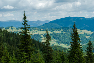 View of the valley in the Carpathians in summer