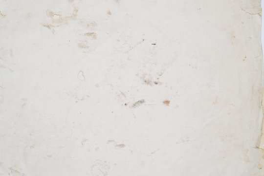 Paper swallowed with silverfish. Traces of wrecking silverfish on vinyl envelopes.