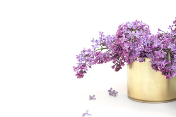 bouquet of lilacs in an iron can on a white background