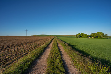 Obraz premium Hof an der Römerstraße Frei-Laubersheim (Römerstraße Metz nach Mainz)