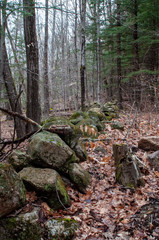 Stone wall in New Hampshire Woods