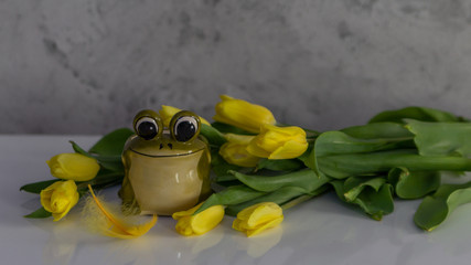 Wiosenny bukiet tulipanów z żabą 
