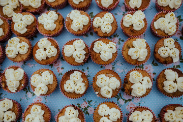 tray of cupcakes close up