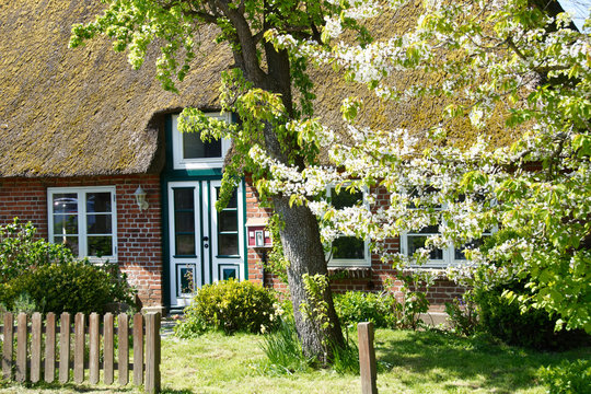 Reetdachhaus