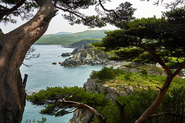 High cliffs in the ocean. Rocky islands and rocks in Orlik Bay in the Sea of Japan. Far East. In the foreground are trees.