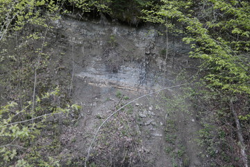 waterfall in the forest