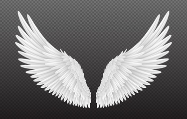 Obraz na płótnie Canvas Pair of beautiful white angel wings isolated on transparent background, 3D realistic vector illustration. Spirituality and freedom