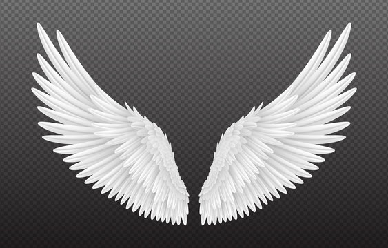 Golden Angel Wings Isolated Stock Illustration - Illustration of render,  winged: 143066937