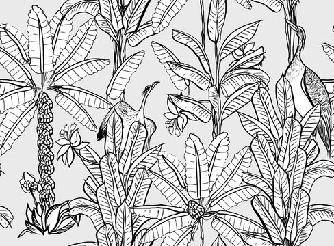  Seamless Pattern Tropical Forest Exotic Jungle With Heron Wild Bird On White Background, Doodle Drawing Palm Trees Wildlife Wallaper Design, Outline Illustration Floral