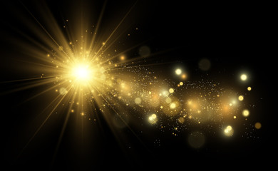 Fototapeta na wymiar Golden bright star. Light effect bright star. Beautiful light to illustrate. Christmas star White sparks sparkle with a special light. Vector sparkles on transparent background.