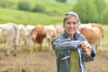Portrait of a smiling cattlewoman standing beside her cows - obrazy, fototapety, plakaty